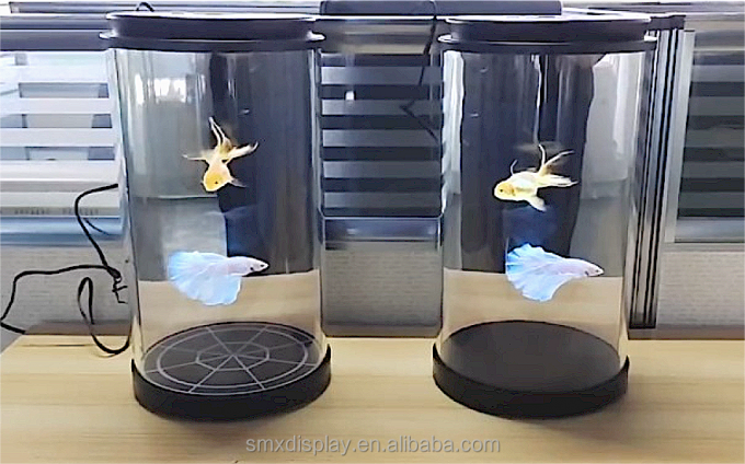 5.5 /21.5/75인치 홀로그램 실린더 박스 3D 홀로그램 실린더 AI 인터랙티브 디스플레이 박물관용 3