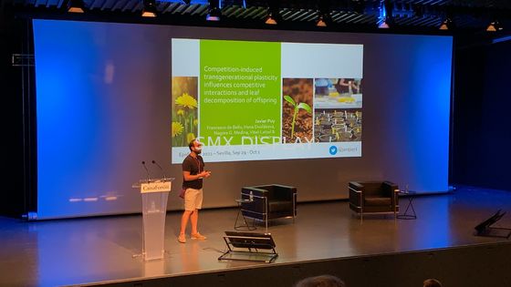 품질 RF 리모콘과 350 인치 큰 자동화된 투사 화면 공장